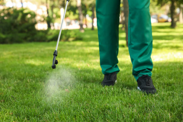 Best Bed Bug Extermination  in Constantine, MI