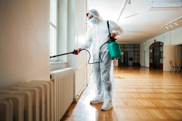 Best Termite Control Services  in Constantine, MI